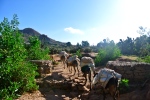 Etiopija, nuotr. iš asmeninio archyvo
